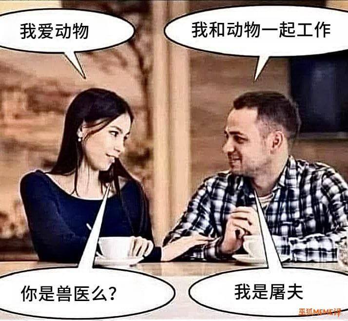 我爱动物我和动物一起工作你是兽医么？我是屠夫巫狐MEME译