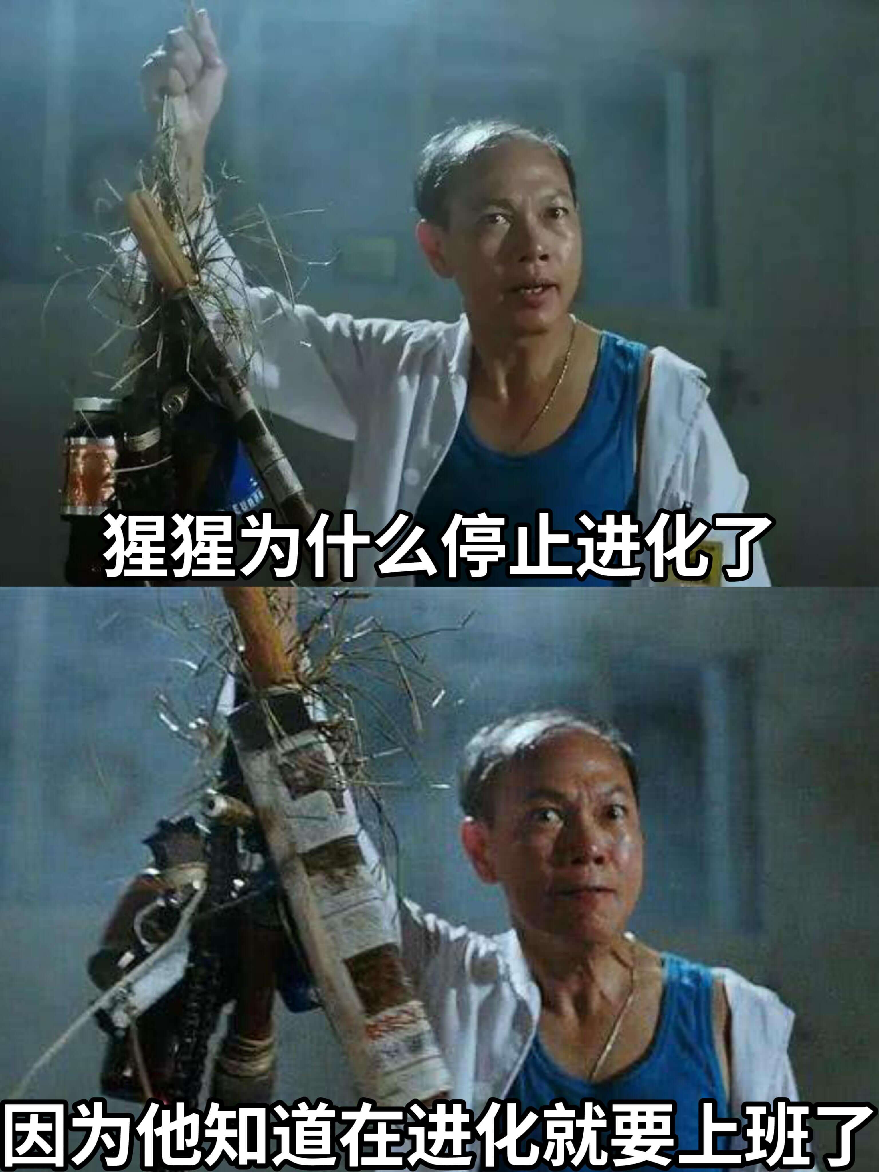 猩猩为什么停止进化了因为他知道再进化就要上班了