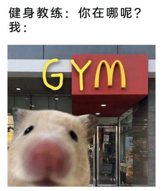 健身教练：你在哪呢？我：GYM