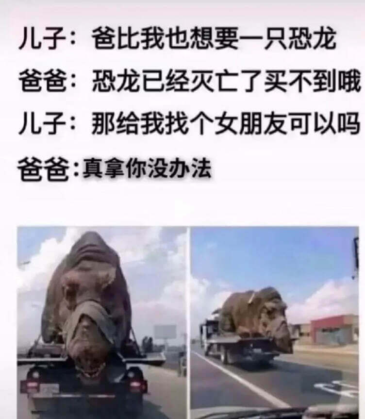 儿子：爸比，我也想要一只恐龙爸爸：恐龙已经灭亡了，买不到哦儿