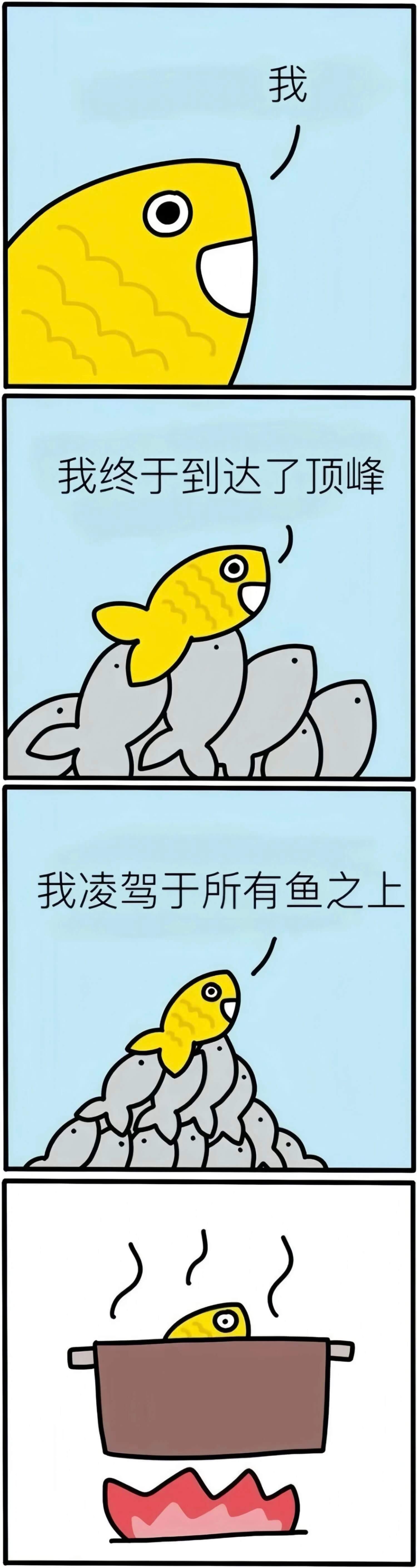 我我终于到达了顶峰我凌驾于所有鱼之上