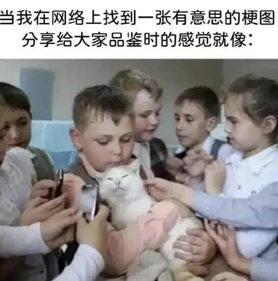 当我在网络上找到一张有意思的梗图，分享给大家品鉴时的感觉就像