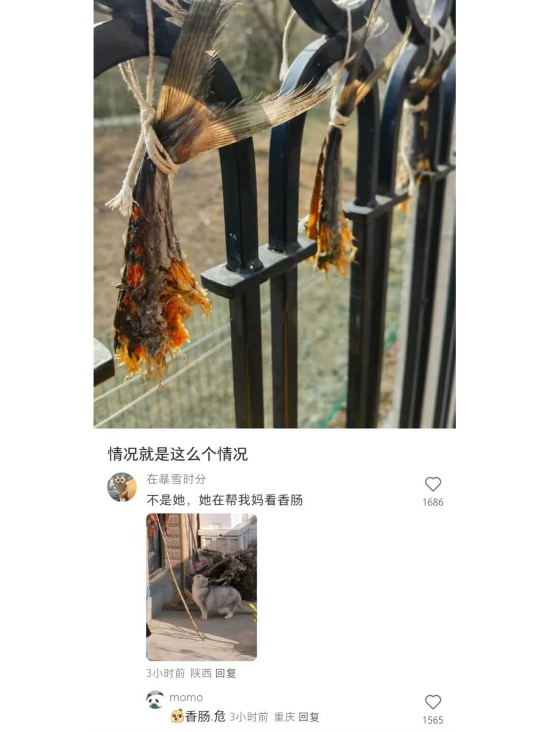 情况就是这么个情况在暴雪时分，不是她，她在帮我妈看香肠。3小