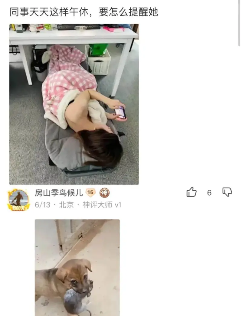 同事天天这样午休，要怎么提醒她房山季鸟候儿16神6/13·北