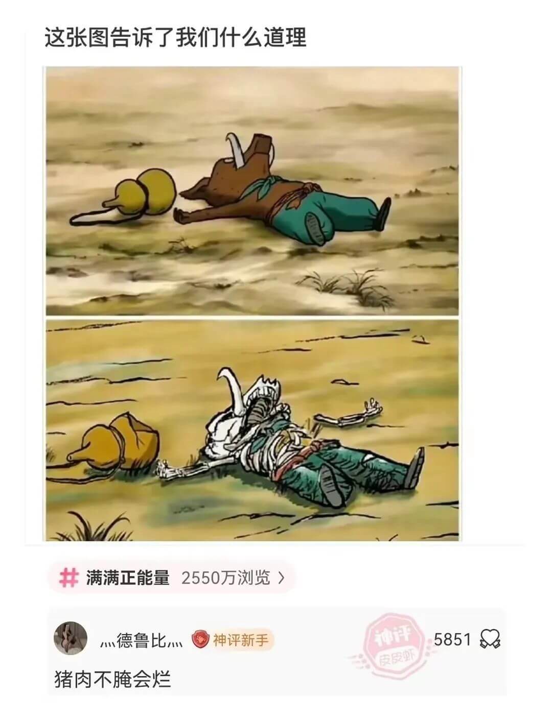 这张图告诉了我们什么道理满满正能量2550万浏览灬德鲁比灬神