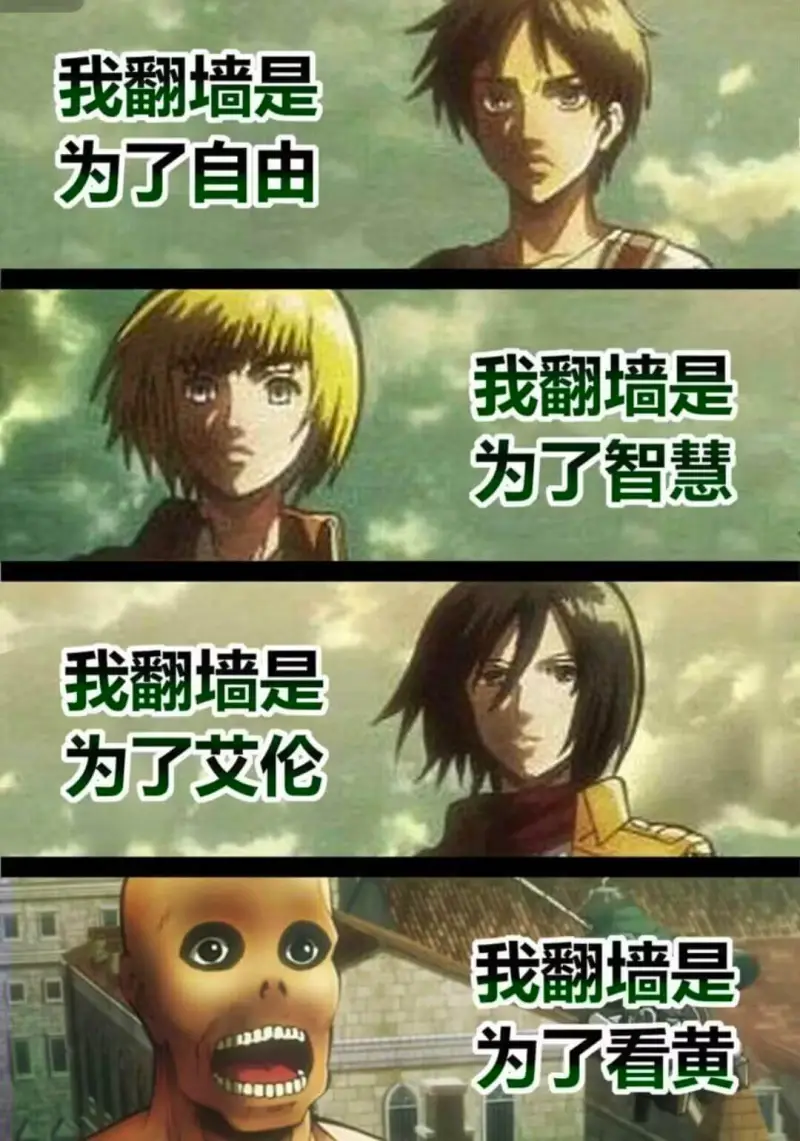 我翻墙是为了自由我翻墙是为了智慧我翻墙是为了艾伦我翻墙是为了