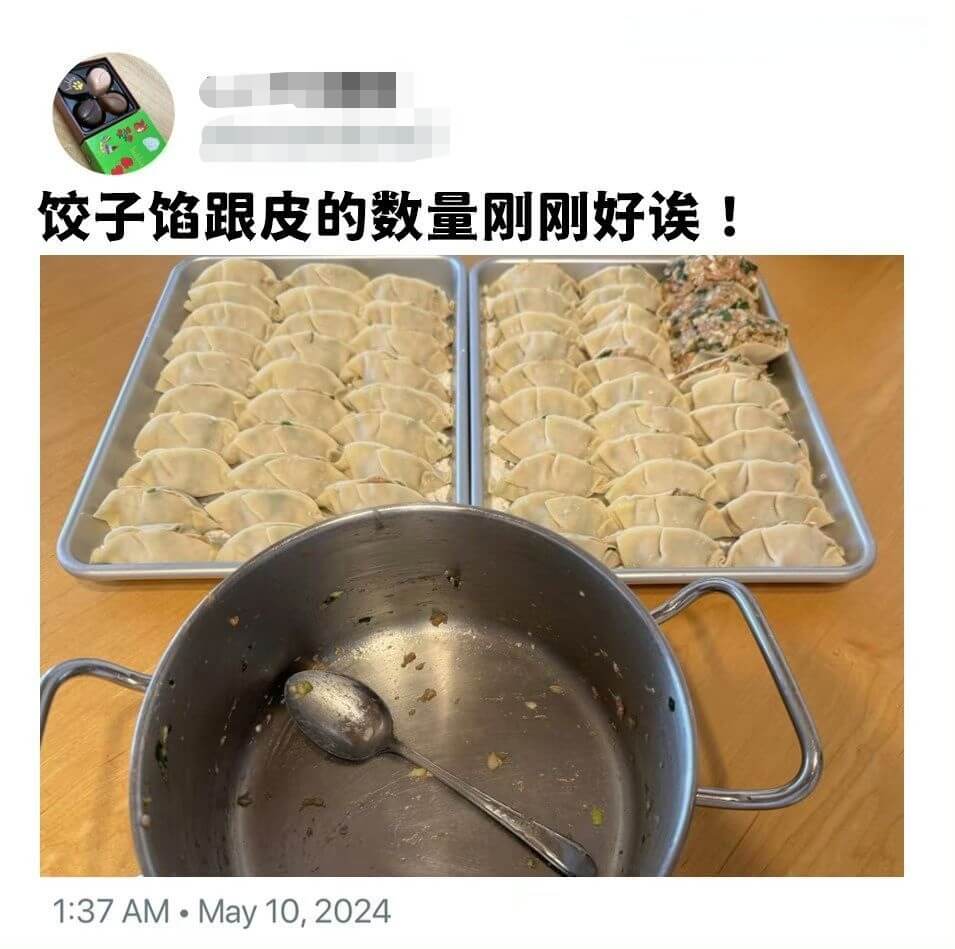 饺子馅跟皮的数量刚刚好误！1:37AM·May10,2024