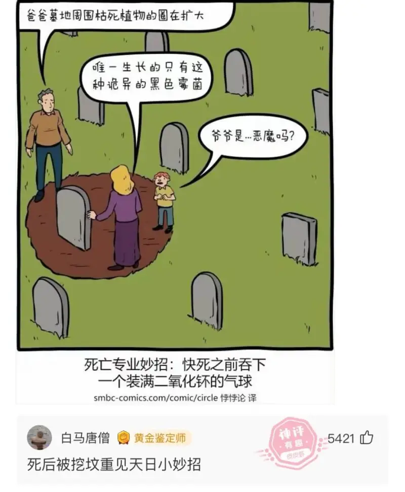 爸爸墓地周围枯死植物的圈在扩大唯一生长的只有这种诡异的黑色霉