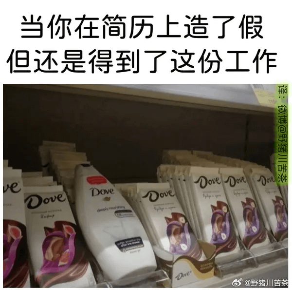 当你在简历上造了假，但还是得到了这份工作。译：微博@野猪川苦
