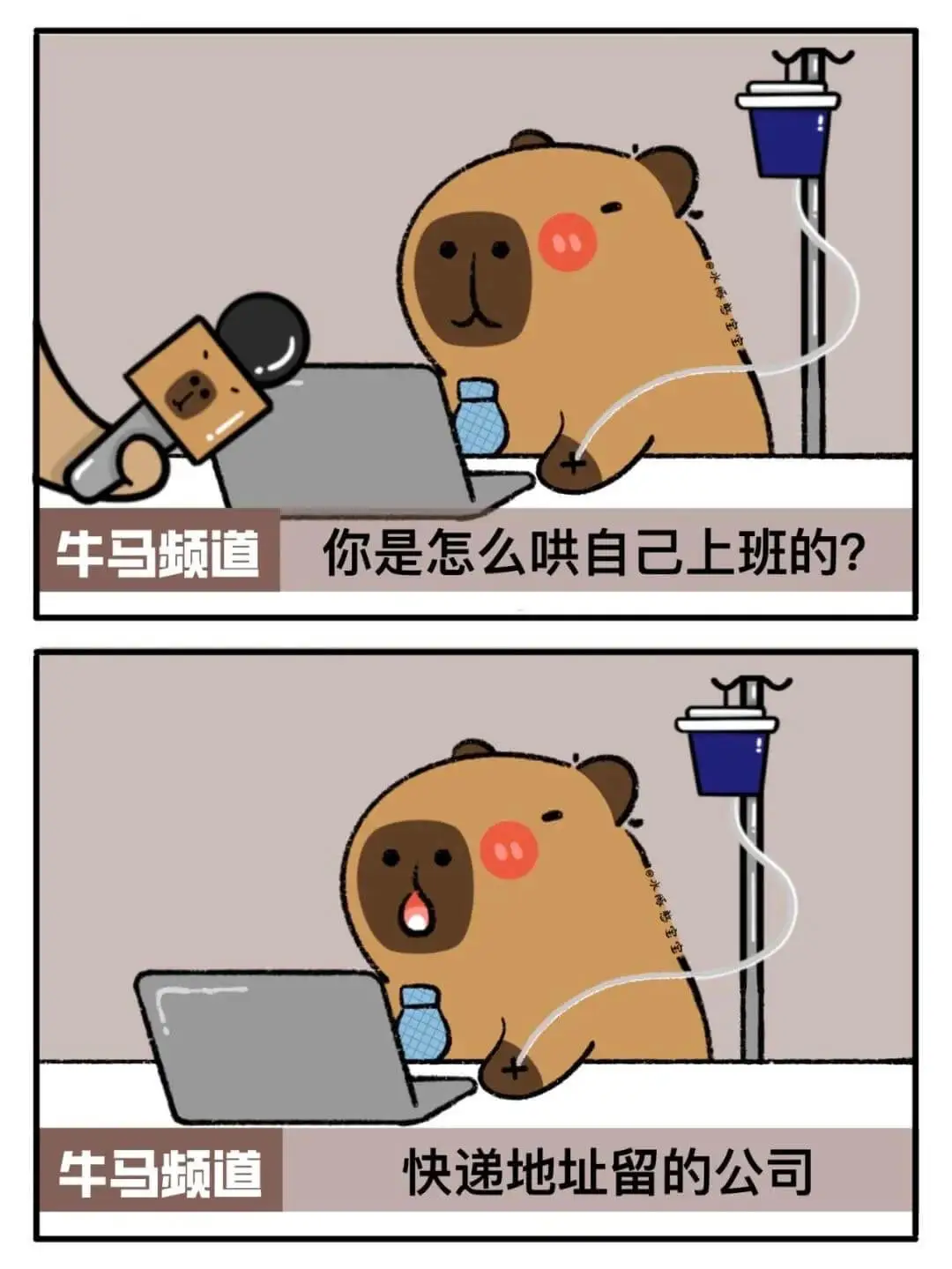 牛马频道你是怎么哄自己上班的？牛马频道快递地址留的公司。