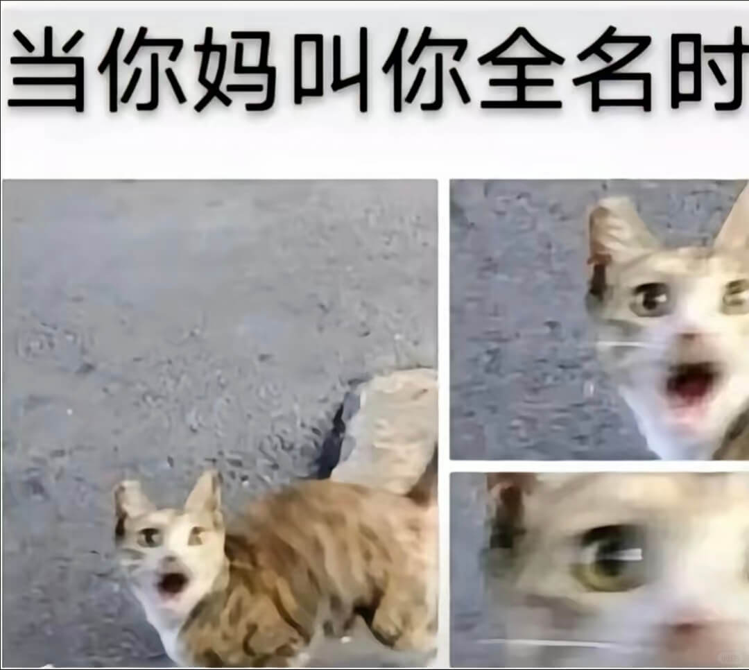当你妈叫你全名时