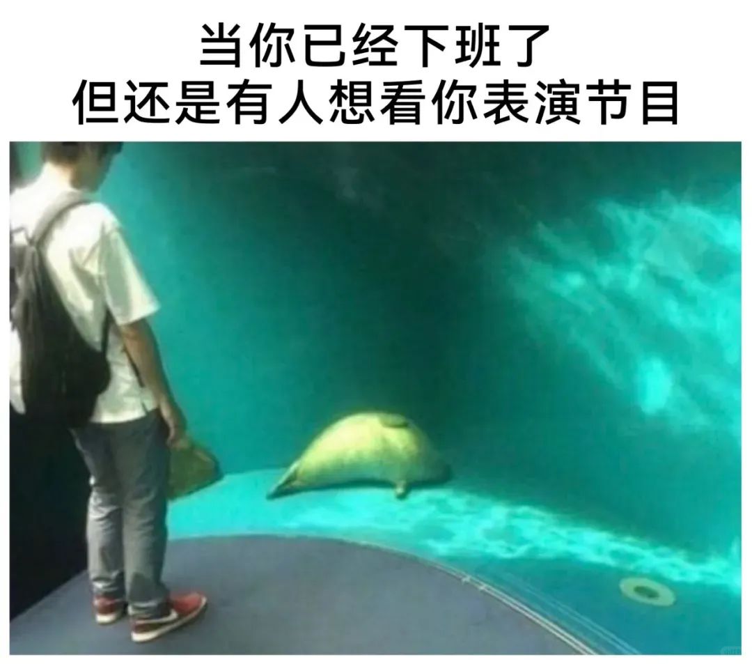 当你已经下班了但还是有人想看你表演节目