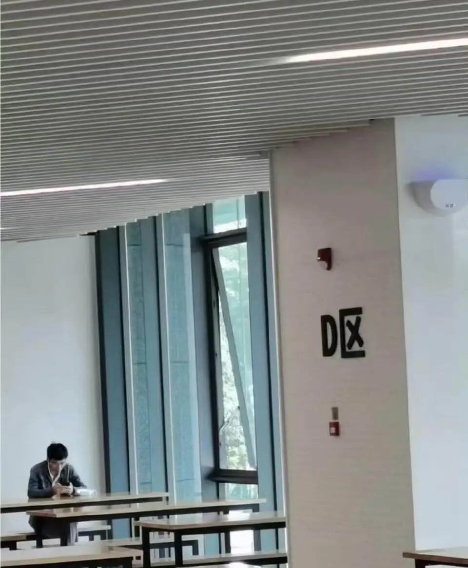 D区