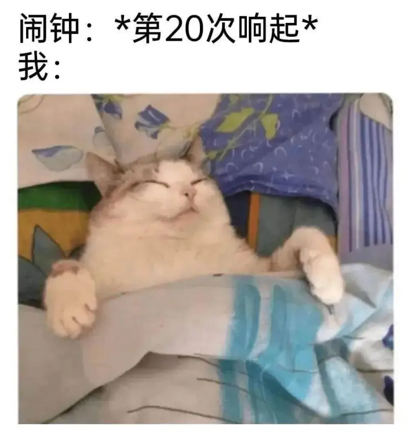 闹钟：*第20次响起*我：