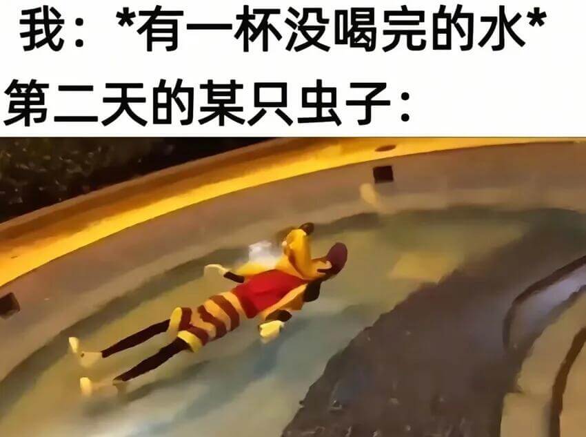 我：*有一杯没喝完的水*第二天的某只虫子：