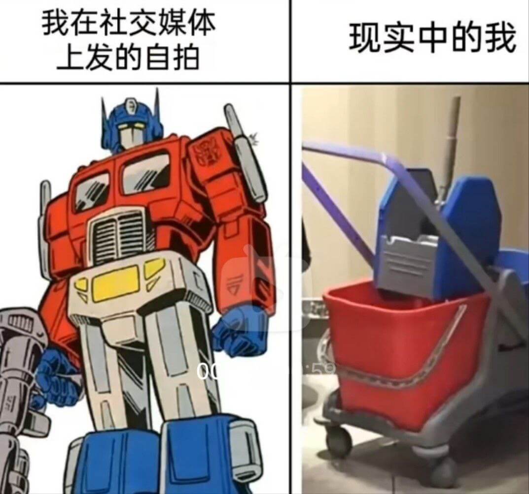 我在社交媒体上发的自拍现实中的我