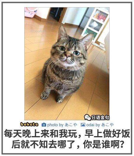 日语金句boketoaphotoby南二力odaiby南节每