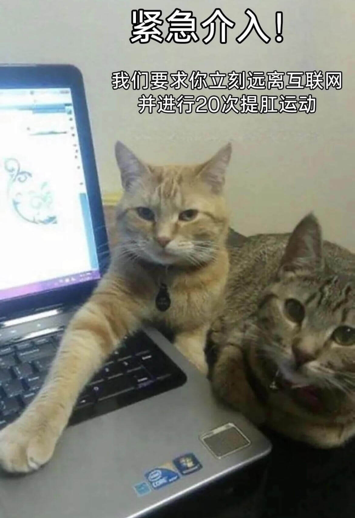 紧急介入！我们要求你立刻远离互联网，并进行20次提肛运动