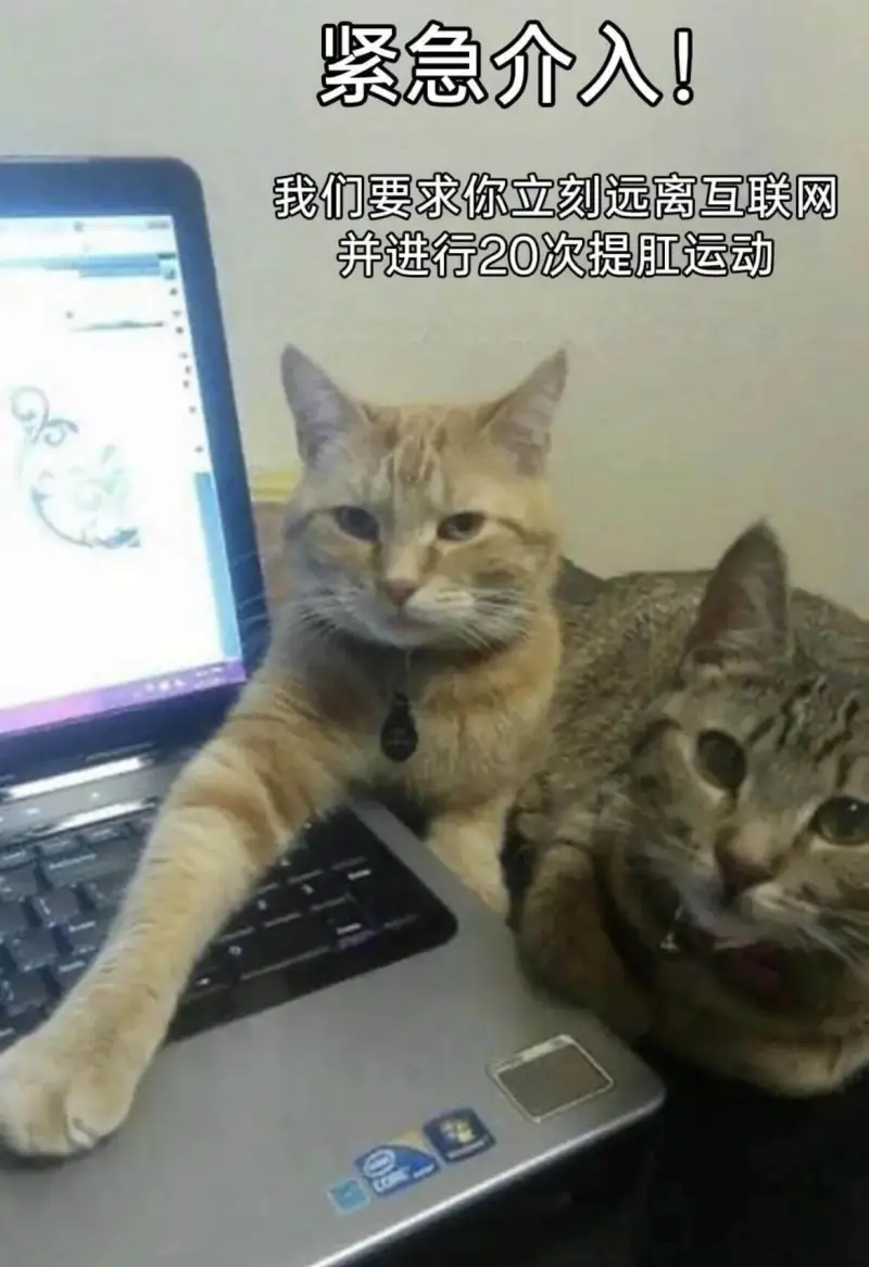 紧急介入！我们要求你立刻远离互联网，并进行20次提肛运动