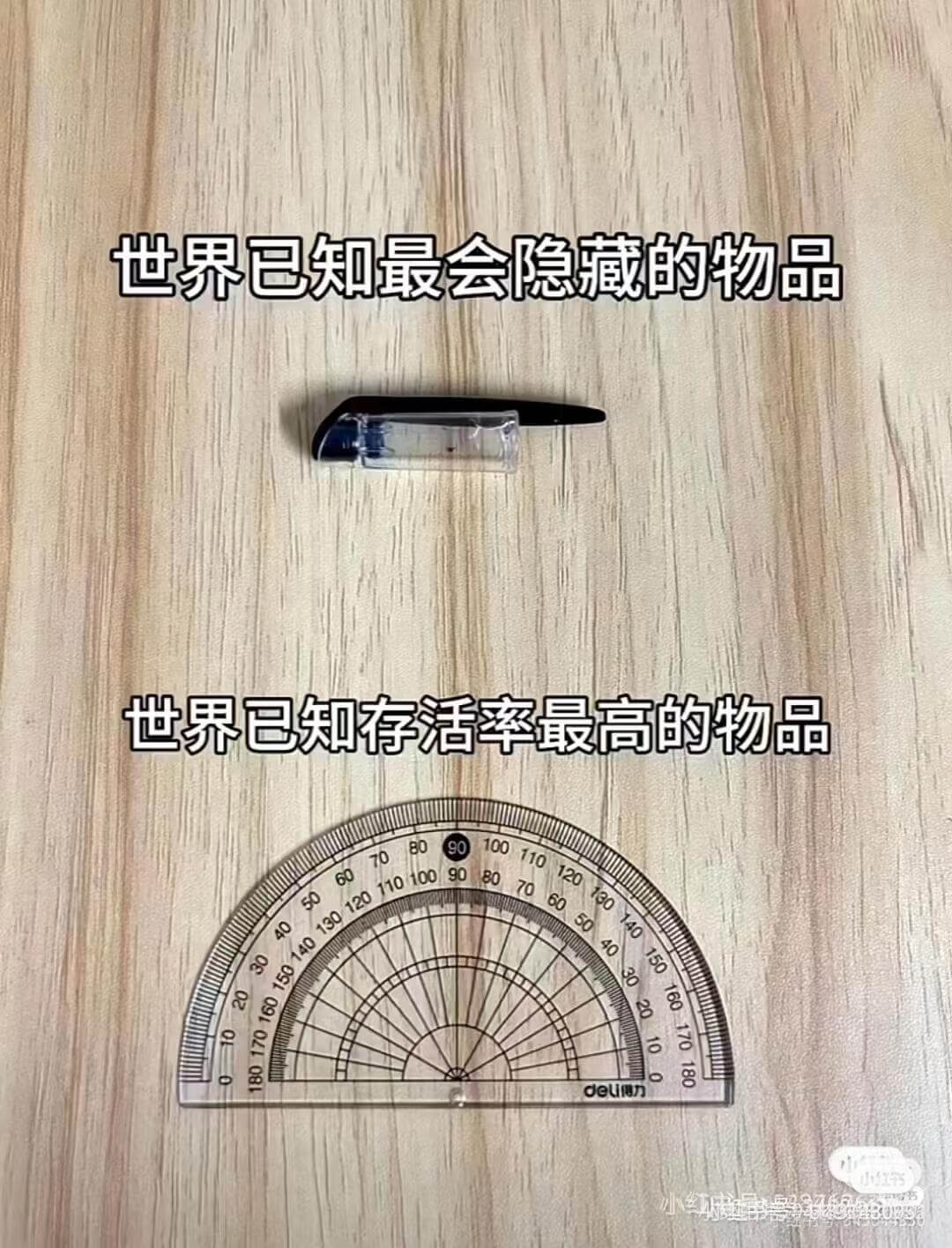 世界已知最会隐藏的物品世界已知存活率最高的物品8090100