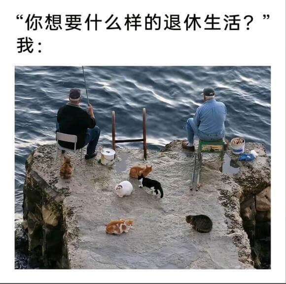“你想要什么样的退休生活？我：