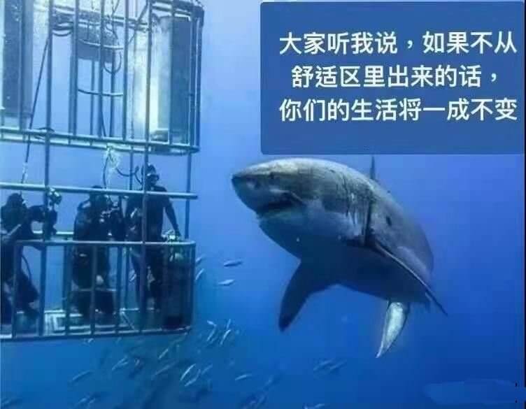 大家听我说，如果不从舒适区里出来的话，你们的生活将一成不变。