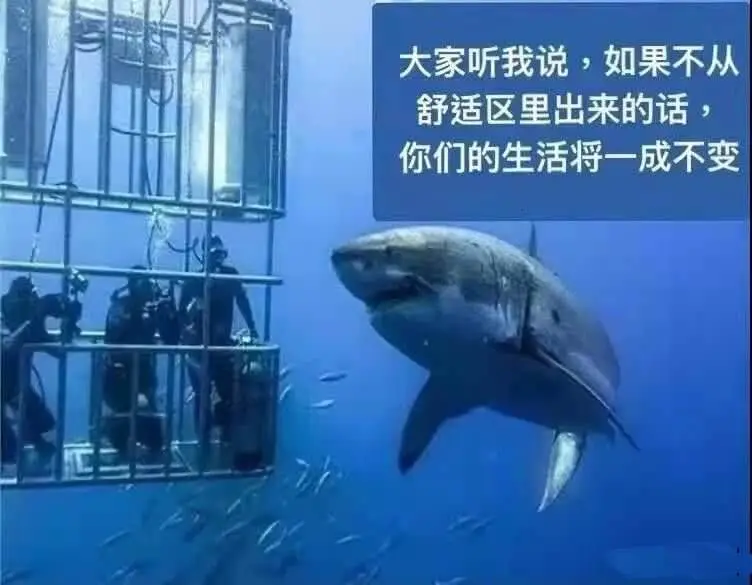大家听我说，如果不从舒适区里出来的话，你们的生活将一成不变。