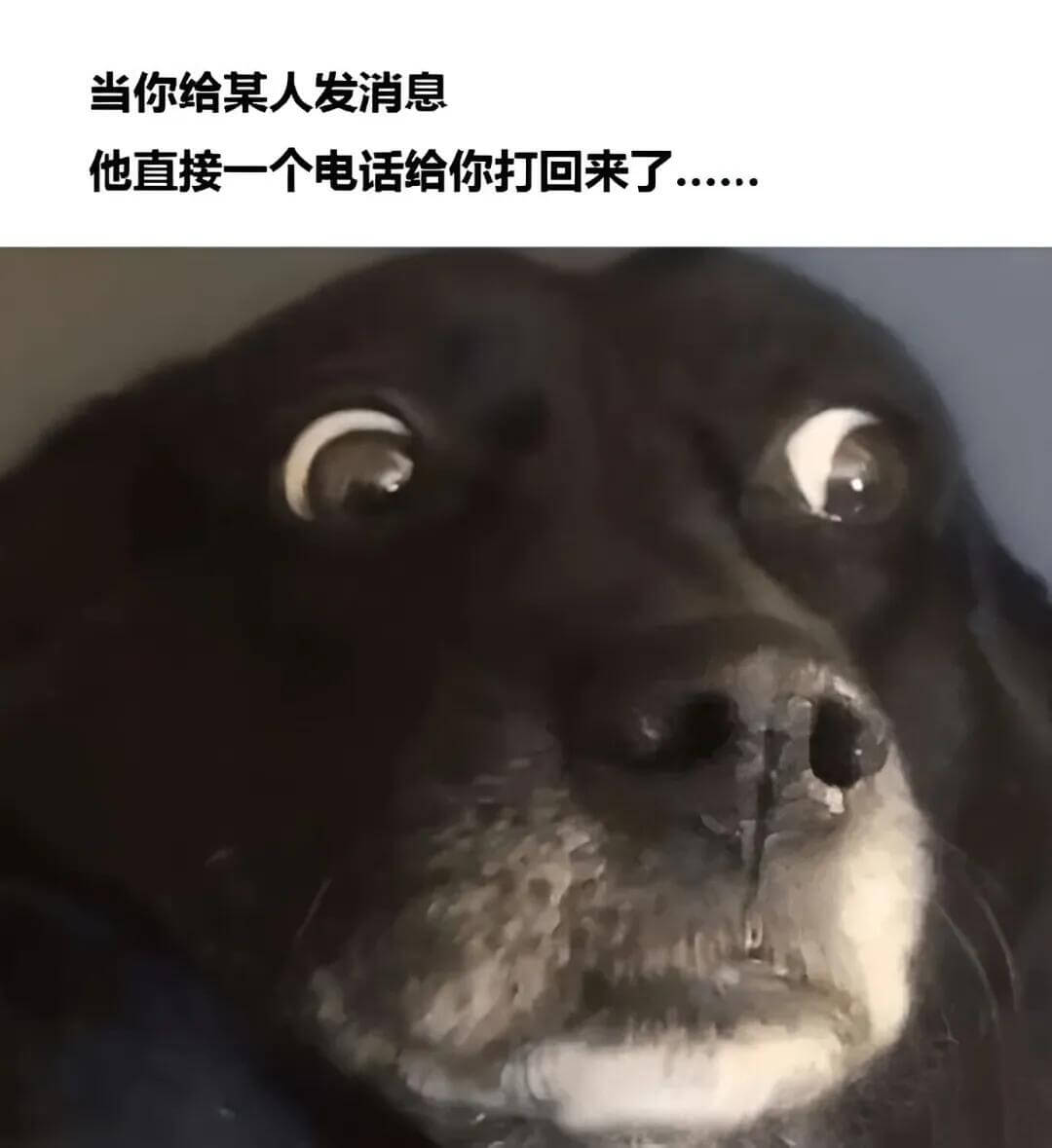 当你给某人发消息，他直接一个电话给你打回来了。