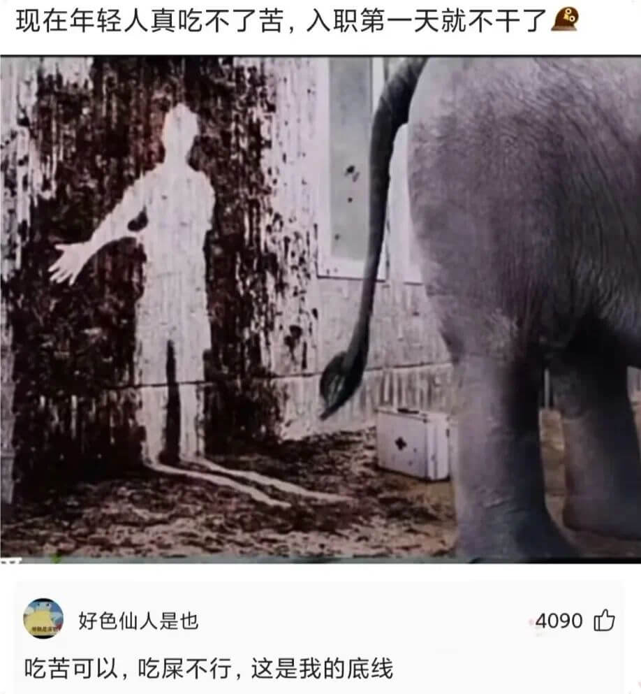 现在年轻人真吃不了苦，入职第一天就不于了好色仙人是也4090