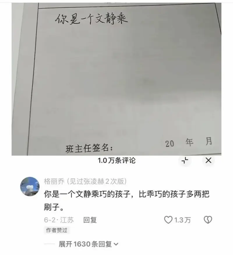 你是一个文静乖巧的孩子，比乖巧的孩子多两把刷子。20年月班主