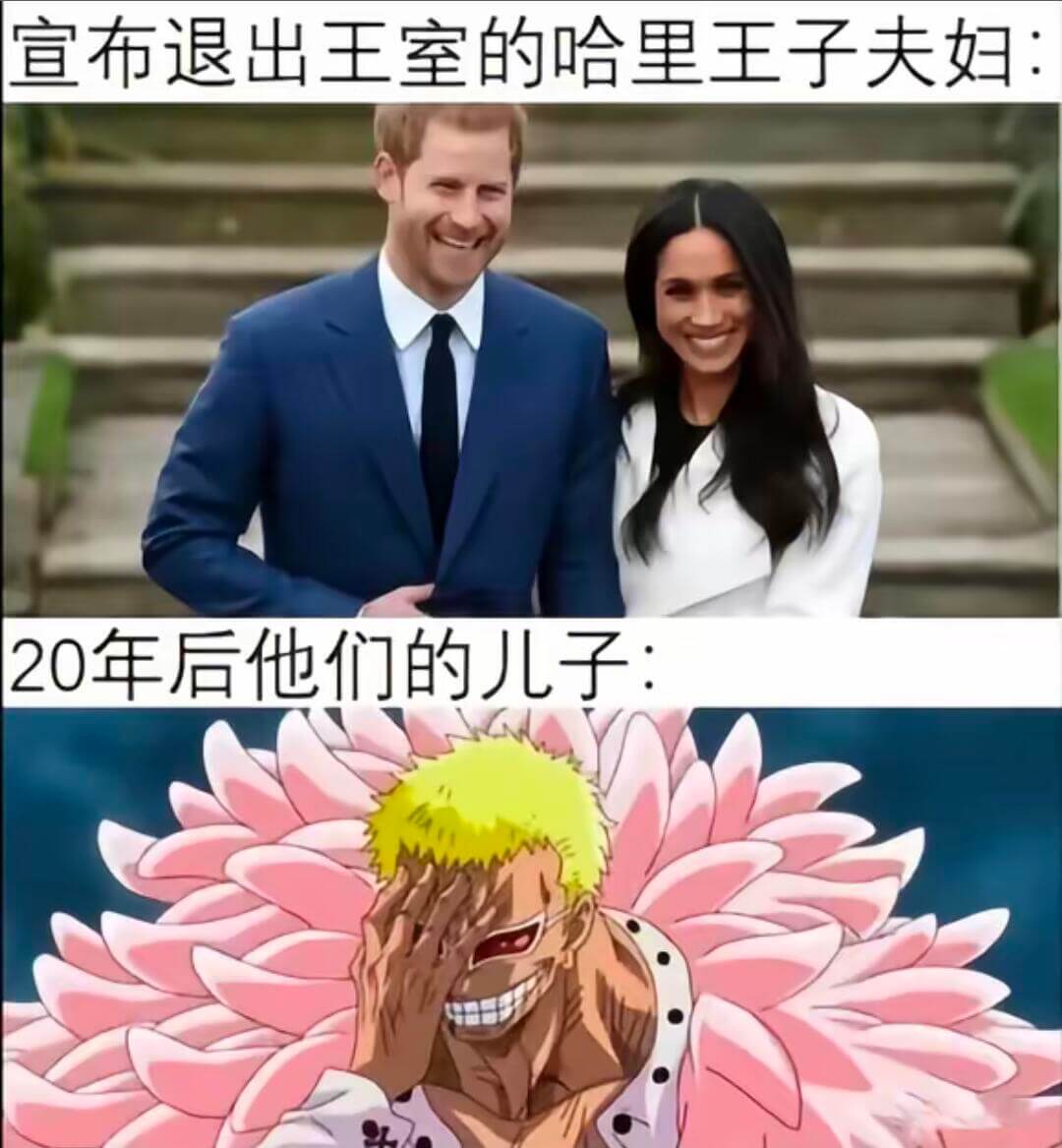 宣布退出王室的哈里王子夫妇：20年后他们的儿子：