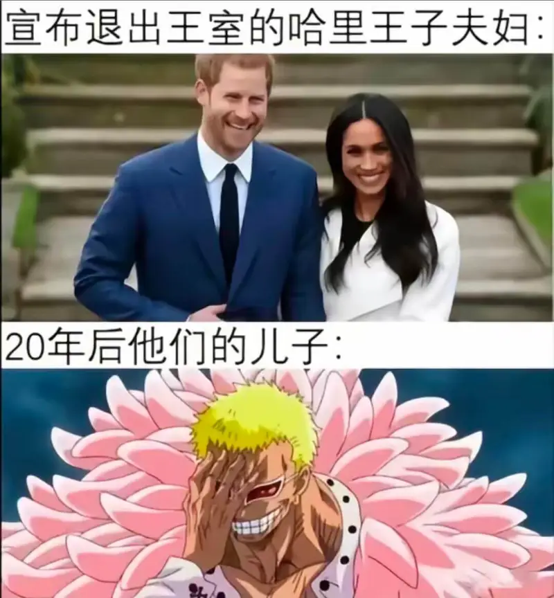 宣布退出王室的哈里王子夫妇：20年后他们的儿子：