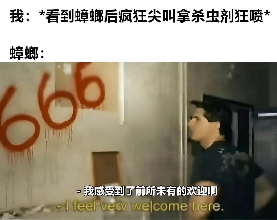 我：*看到蟑螂后疯狂尖叫，拿杀虫剂狂喷蟑螂：—我感受到了前所