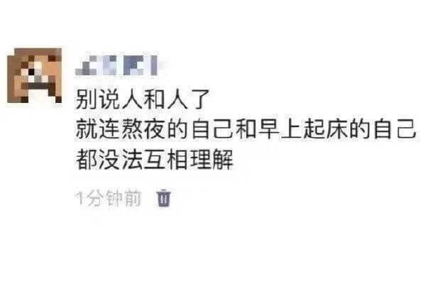 别说人和人了，就连熬夜的自己和早上起床的自己，都没法互相理解