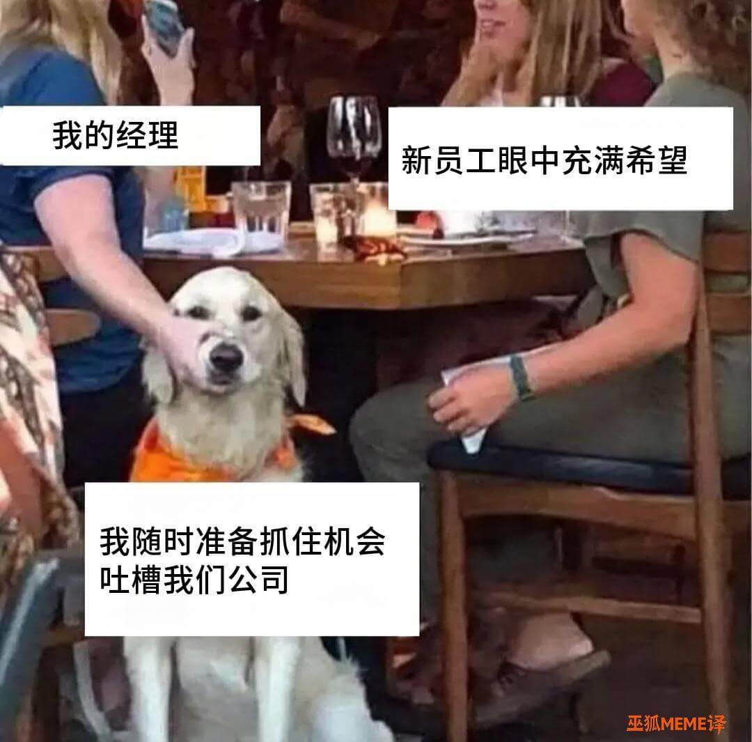 我的经理，新员工眼中充满希望，我随时准备抓住机会，吐槽我们公