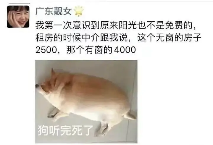 广东靓女我第一次意识到原来阳光也不是免费的，租房的时候中介跟