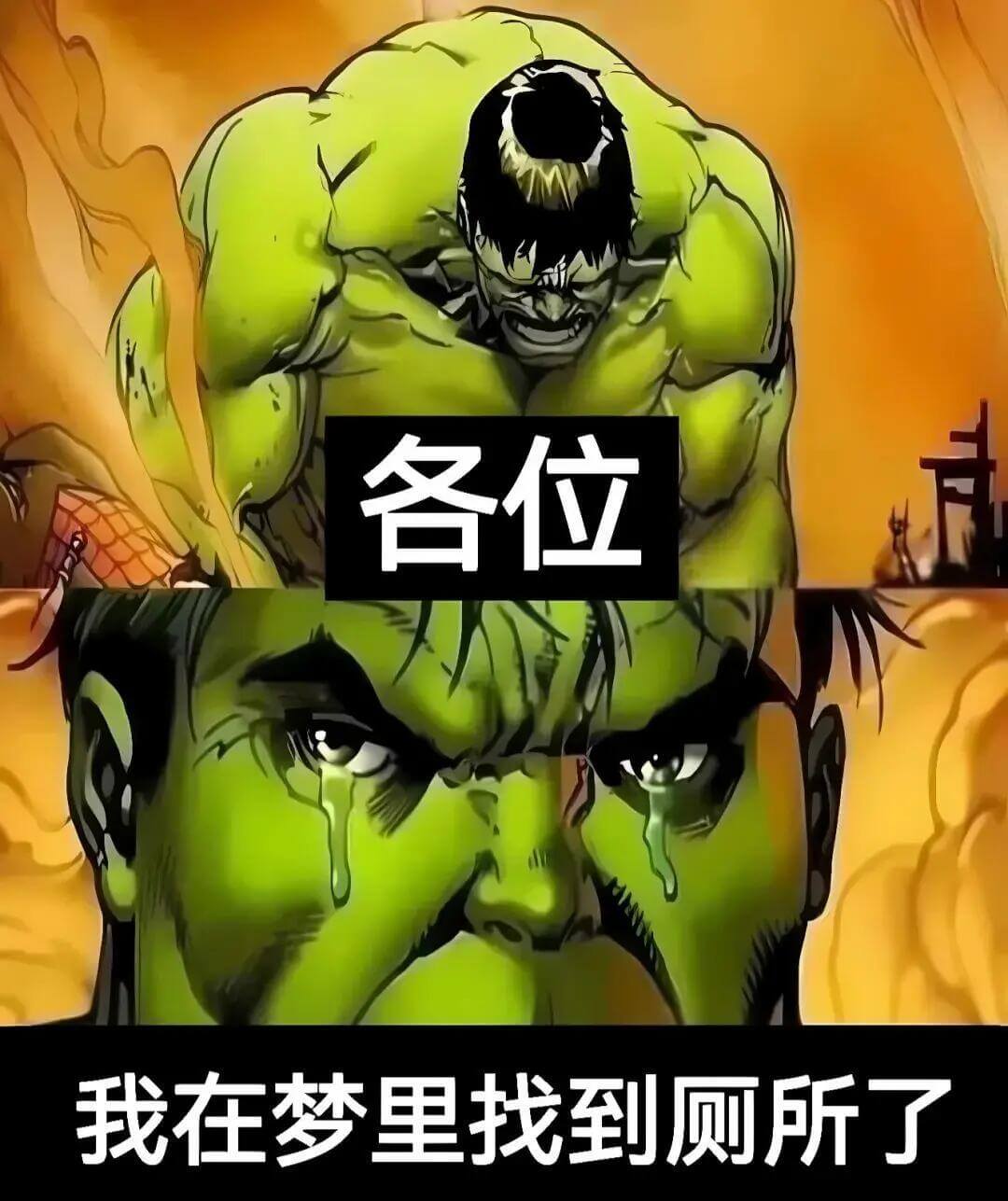 各位我在梦里找到厕所了