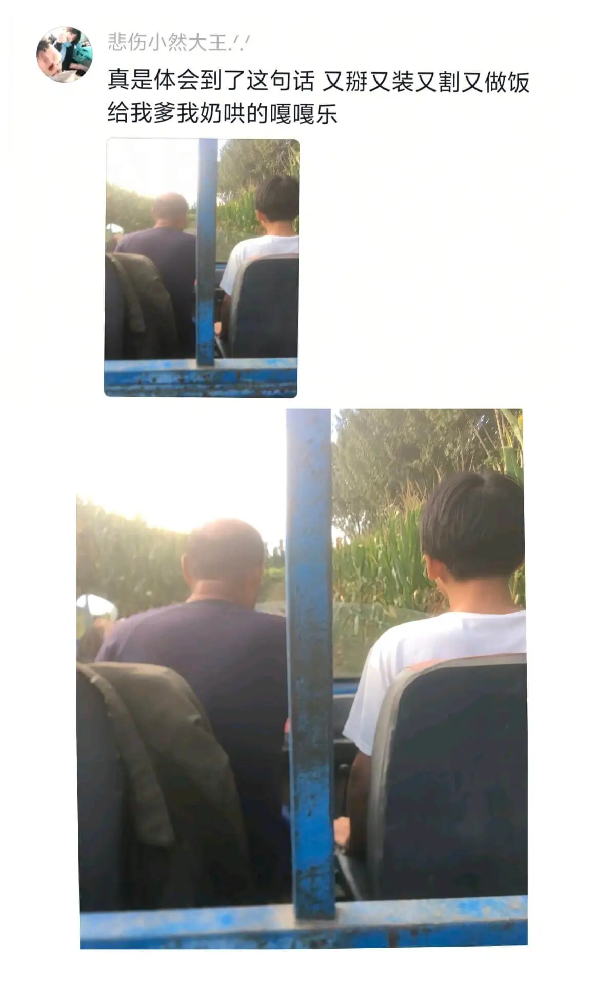 悲伤小然大王真是体会到了这句话,又又装又割又做饭给我多我奶哄