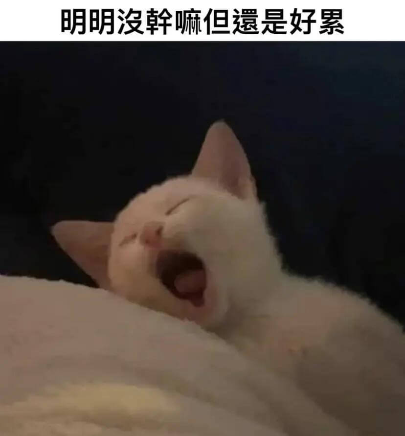 明明没斡嘛但遗是好累