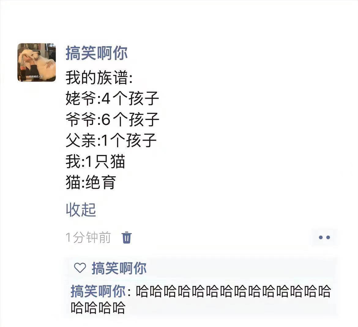 搞笑啊你我的族谱:姥爷:4个孩子爷爷:6个孩子父亲:1个孩子
