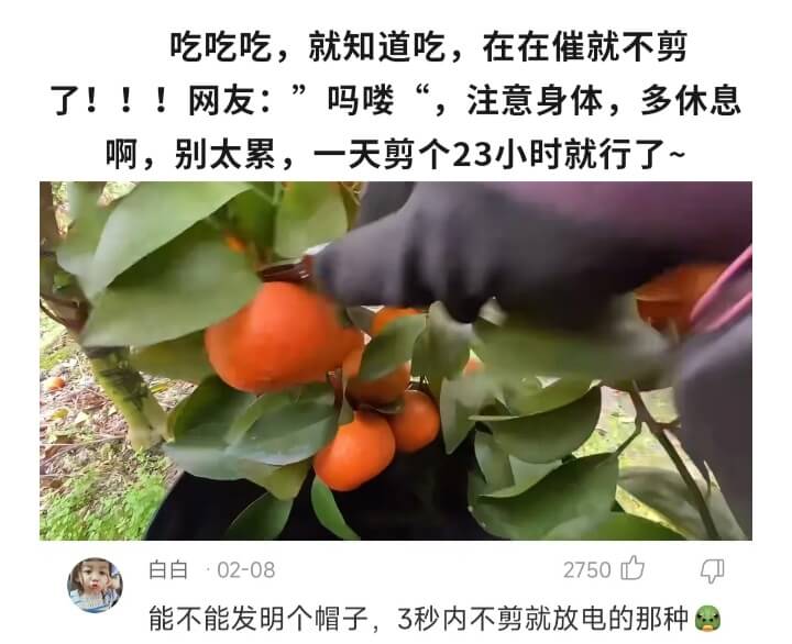吃吃吃，就知道吃，在在催就不剪了!!!网友:”吗喽“，注意身