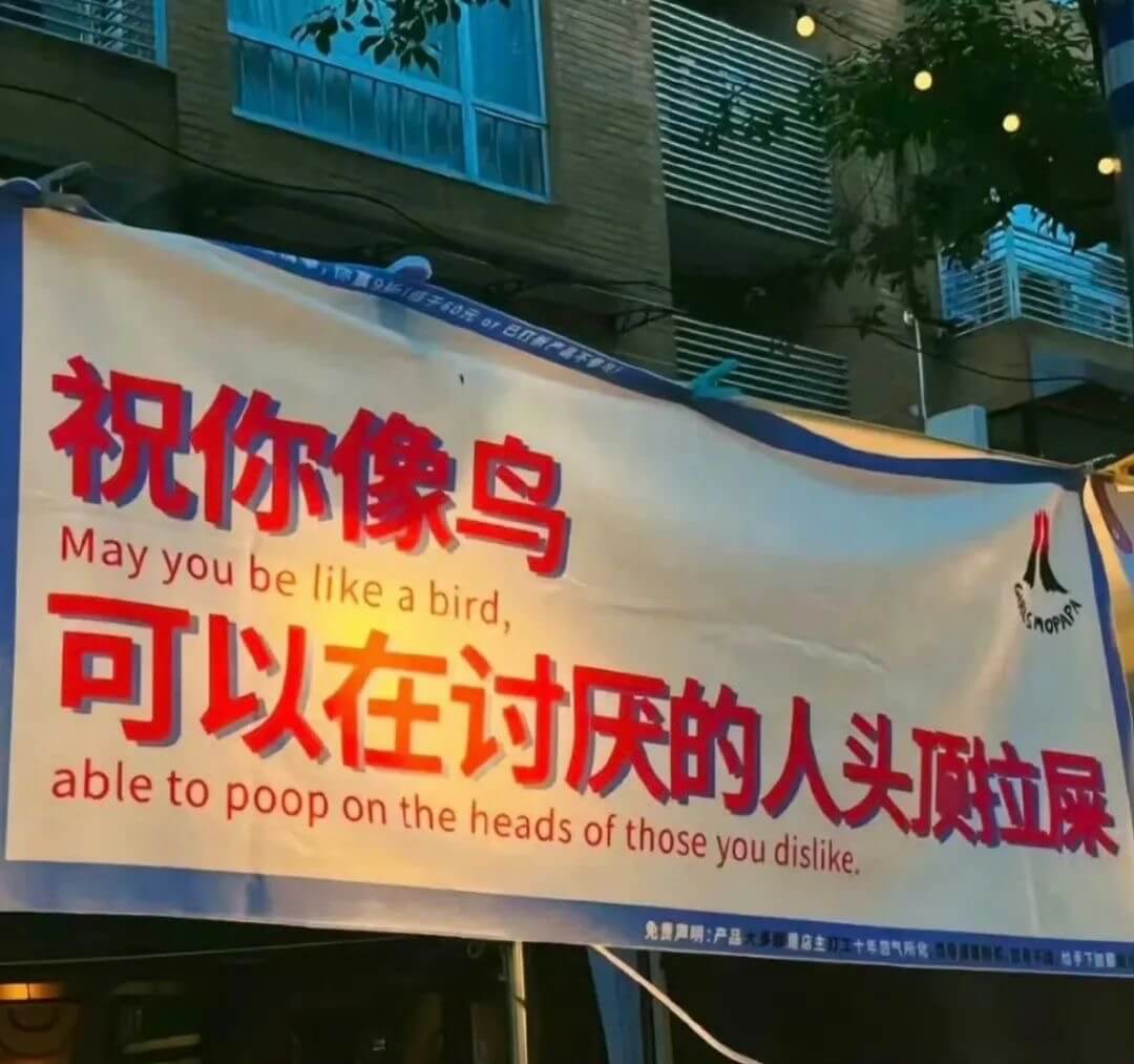 祝你像鸟Mayyoubelikeabird,abletopo