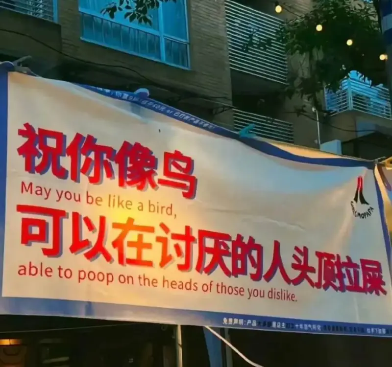 祝你像鸟Mayyoubelikeabird,abletopo