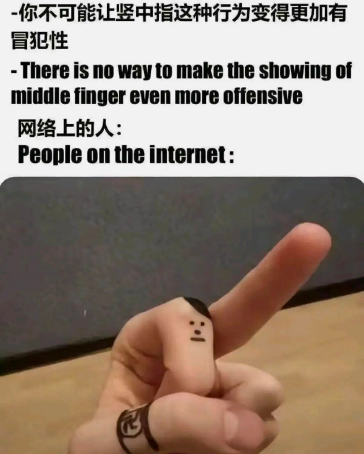 一你不可能让竖中指这种行为变得更加有冒犯性-Thereisn