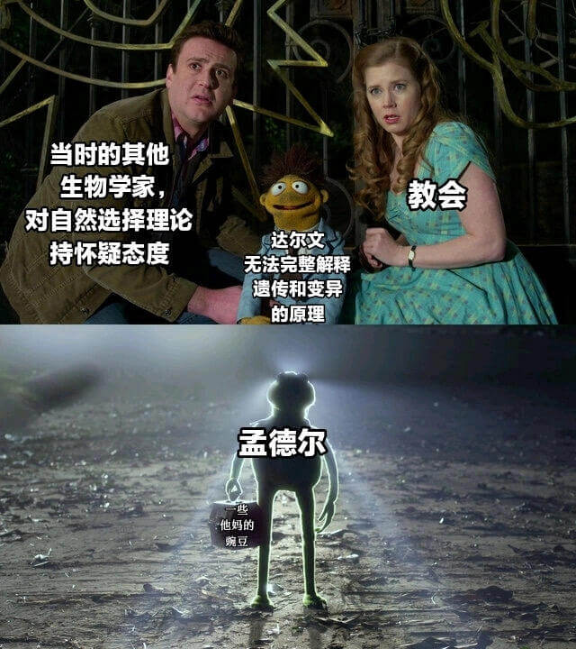 当时的其他生物学家对自然选择理论持怀疑态度达尔文无法完整解释