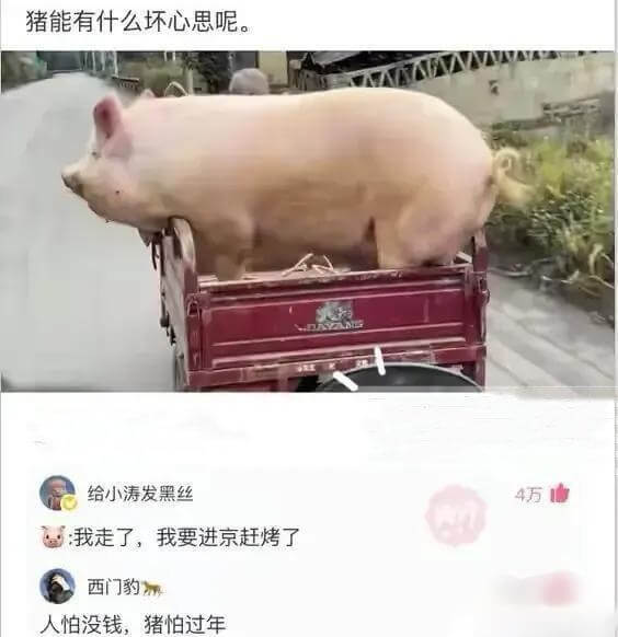 猪能有什么坏心思呢。给小涛发黑丝:我走了，我要进京赶烤了西门