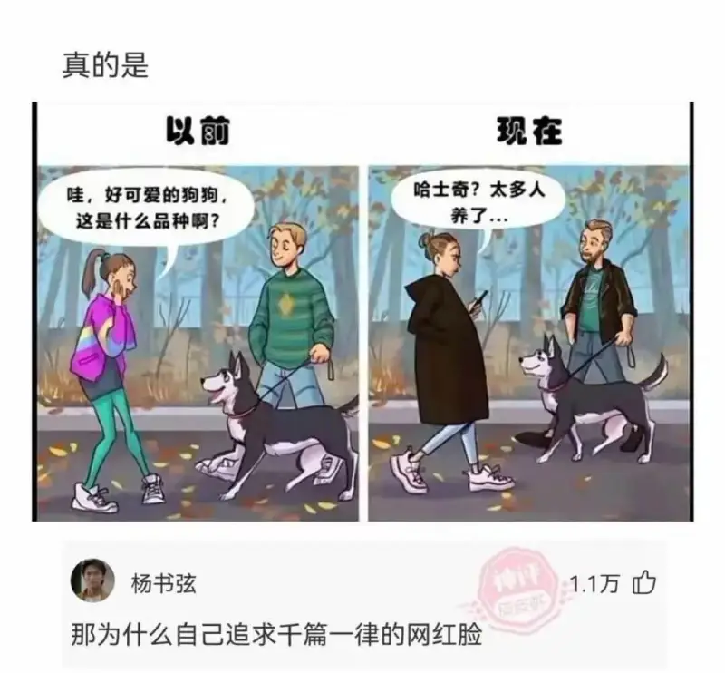 真的是以前哇，好可爱的狗狗，这是什么品种啊？现在哈士奇？太多