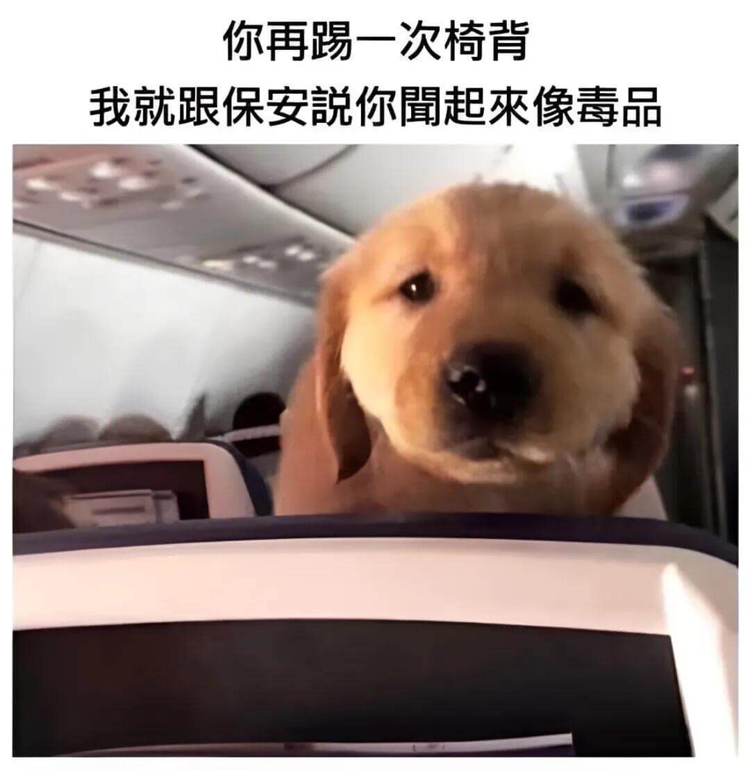 你再踢一次椅背，我就跟保安说你闻起来像毒品。