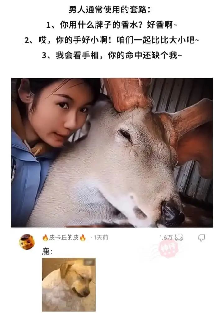 男人通常使用的套路:1、你用什么牌子的香水?好香啊~2、哎，