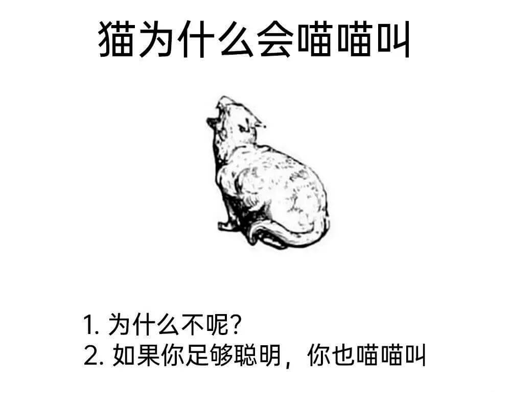 梗图